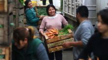 Del verdurazo al mayorista: agricultores familiares abren un mercado en Avellaneda