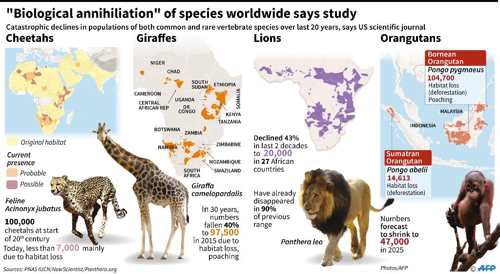 Earth's major 'mass extinction' events