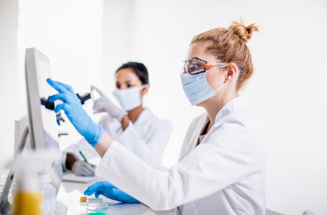 Scientists working in the laboratory