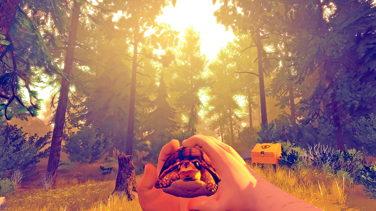 firewatch game based off of which forest