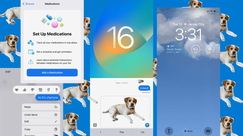 A composite showing various screenshots of new iOS 16 features like Medications, Undo Send in Messages, the new Lock Screen and a cutout of a dog replicated in the background of the image.