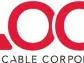 OPTICAL CABLE CORPORATION REPORTS FIRST QUARTER OF FISCAL YEAR 2024 FINANCIAL RESULTS