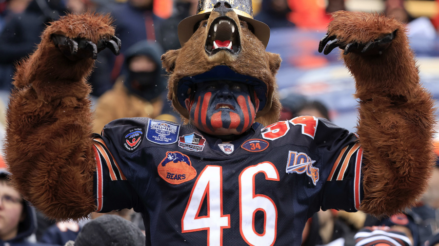 Getty Images - CHICAGO, ILLINOIS - DECEMBER 31: A Chicago Bears fan cheers during a game against the Atlanta Falcons at Soldier Field on December 31, 2023 in Chicago, Illinois. (Photo by Justin Casterline/Getty Images)