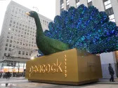 Peacock losses narrow as Comcast hints at future price hikes