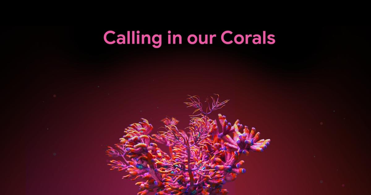 Google quiere que prestes tus oídos para ayudar a salvar los arrecifes de coral