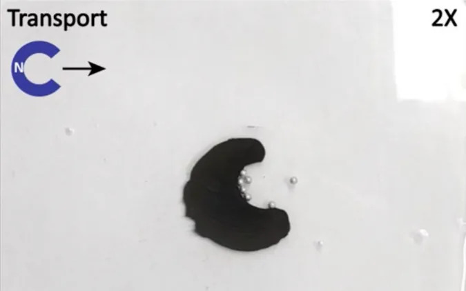 Magnetic slime 'robot' could help recover swallowed objects