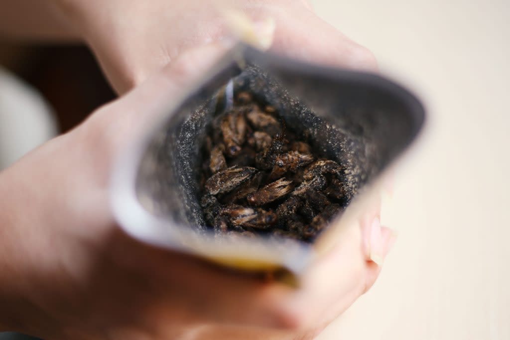 From Malaysia With Love: Salted Egg Yolk Crickets