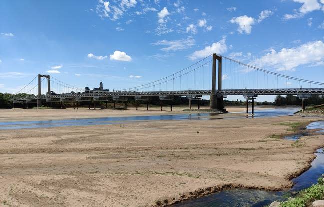 “I are unable to consider it …” Amongst Angers and Nantes, the very low level of the Loire surprises locals and onlookers