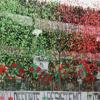 La Serie B annuncia: &quot;Recuperiamo Ternana-Pisa il 7 settembre&quot;