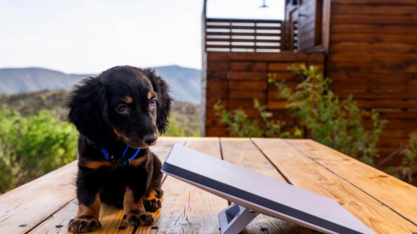 A small black and brown dog on wooden table looking at a flat, silver device.