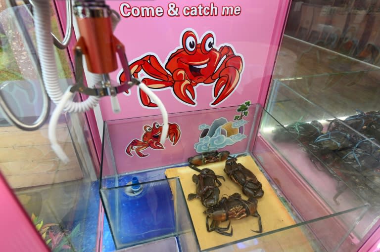 Any customer who uses the arcade-style machine to catch a crab can have it cooked on the spot free of charge (AFP Photo/Roslan RAHMAN)