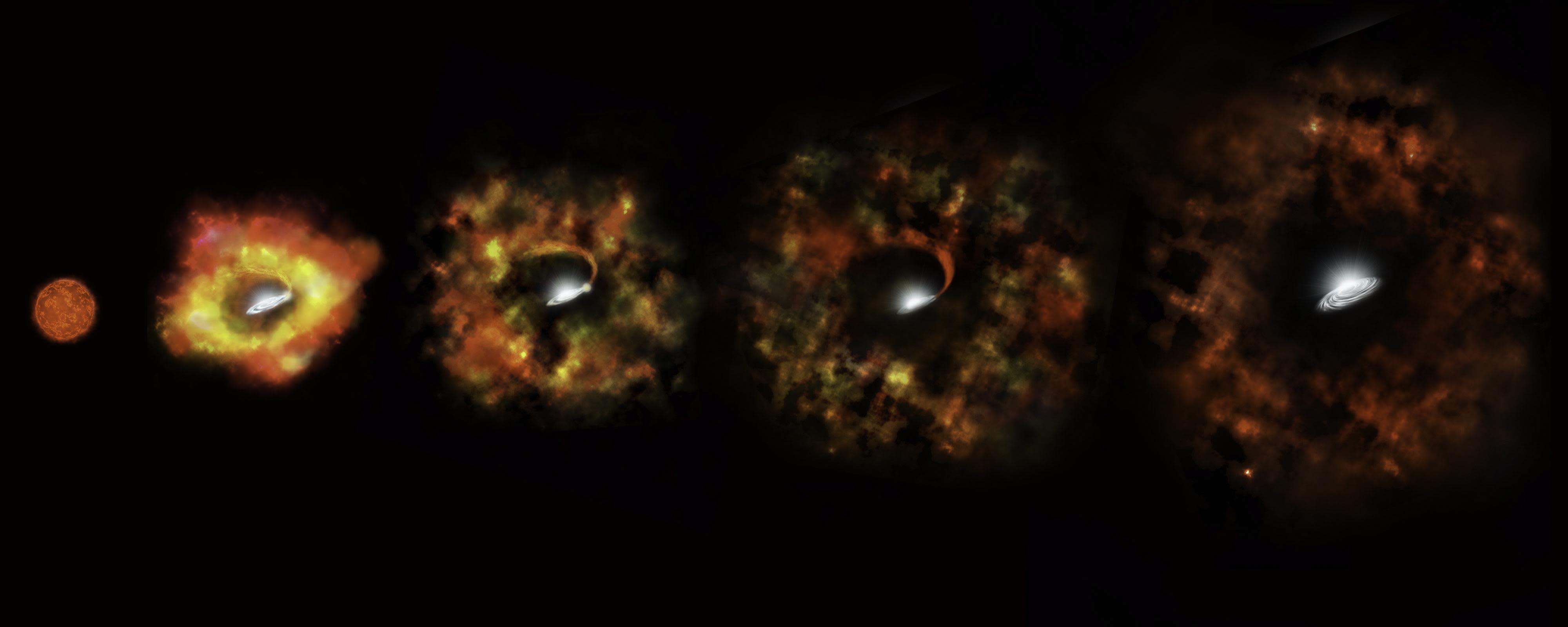 Scientists Watch Star Collapse Into Black Hole