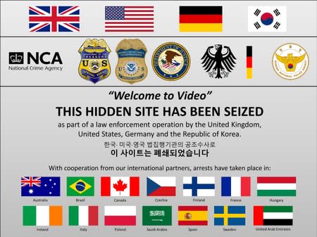 Web Web Porn - Dark web child porn bust leads to 338 arrests worldwide