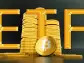 Bitcoin ETF (BTF) Hits New 52-Week High