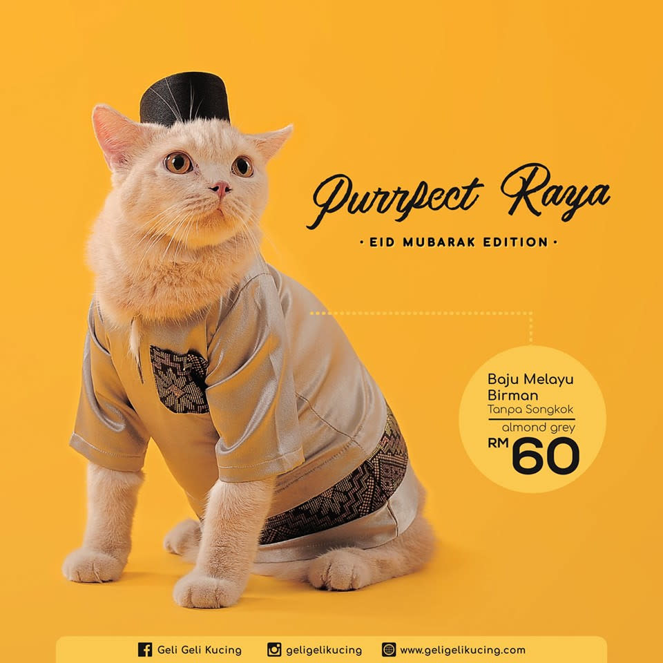 This Hari Raya  dress your cat up with cute baju  raya  made 