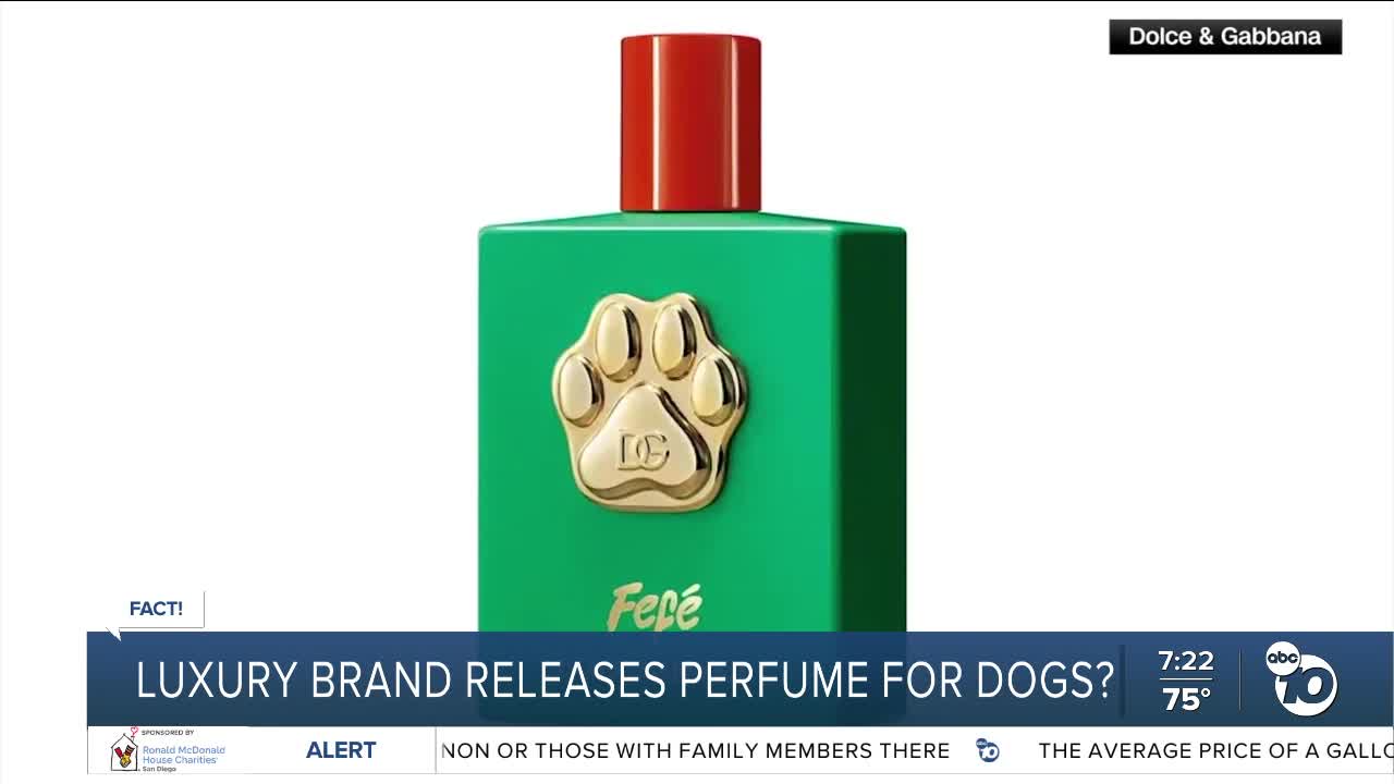 Fact or Fiction: Luxury brand releases perfume for dogs?