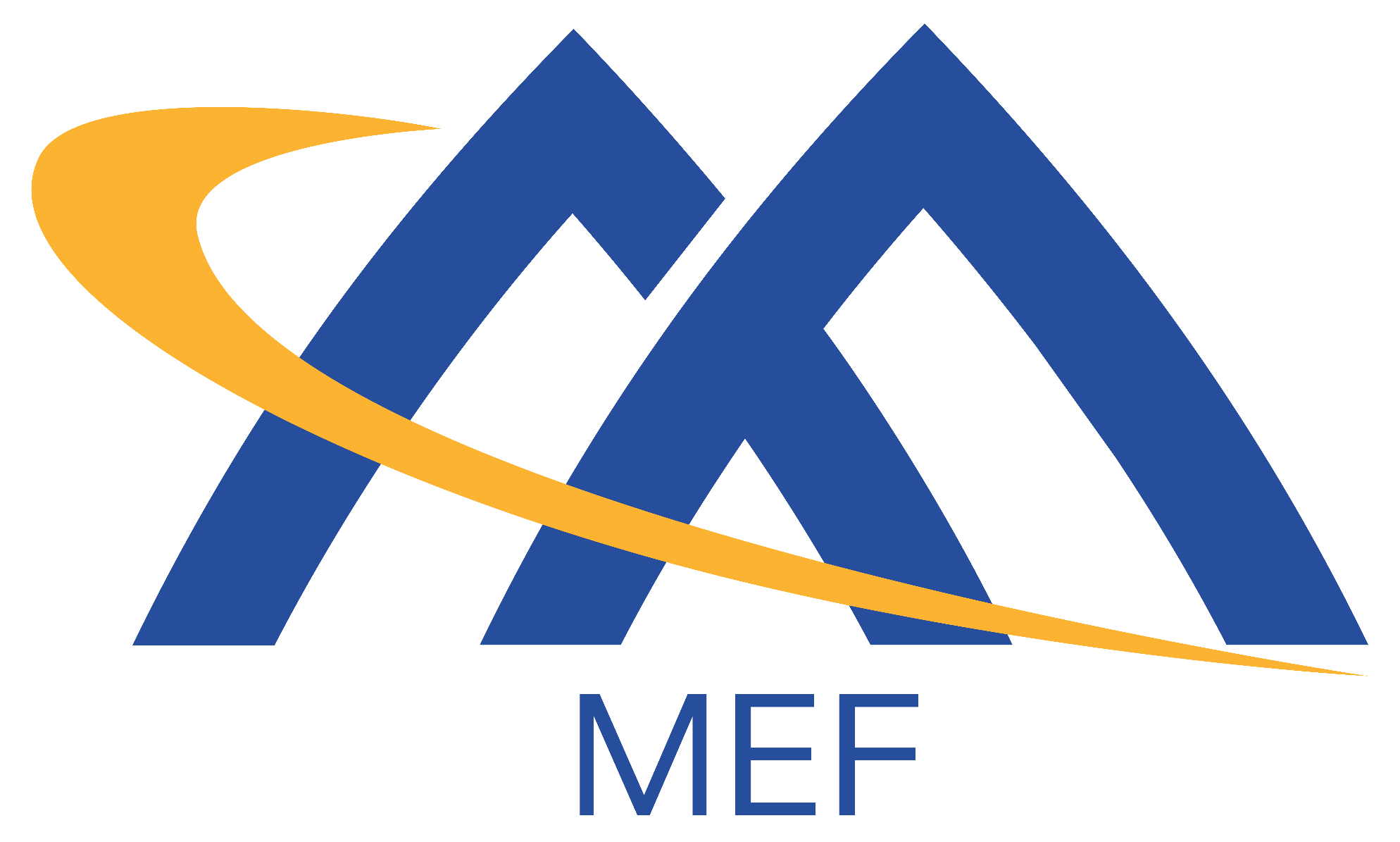 MEF Elects Executives of Main World-wide Electronic Company and Technologies Companies to Board of Directors
