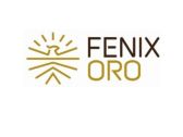 FenixOro Gold Corp. Announces Appointment of John Carlesso as Interim CFO