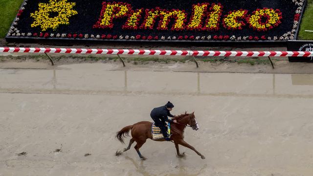 Who to bet on in the 143rd Preakness