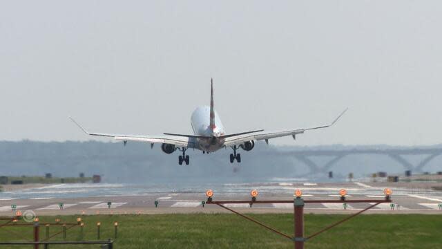 American Airlines plane engine catches fire after bird strike