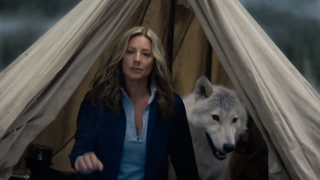 Sarah McLachlan spoofs her animal cruelty prevention commercials in new  Super Bowl ad