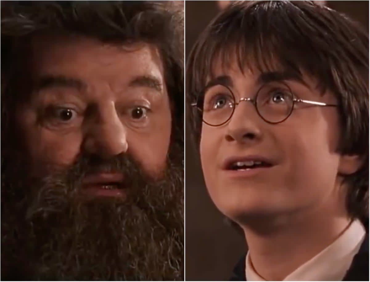 Les fans de Harry Potter partagent un clip poignant après la mort de Robbie Coltrane