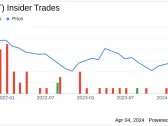 Insider Sell: President of Drug Dev Solutions at Certara Inc (CERT) Sells Shares