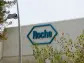 New weight loss drugs could be developed much faster if Roche gets its way