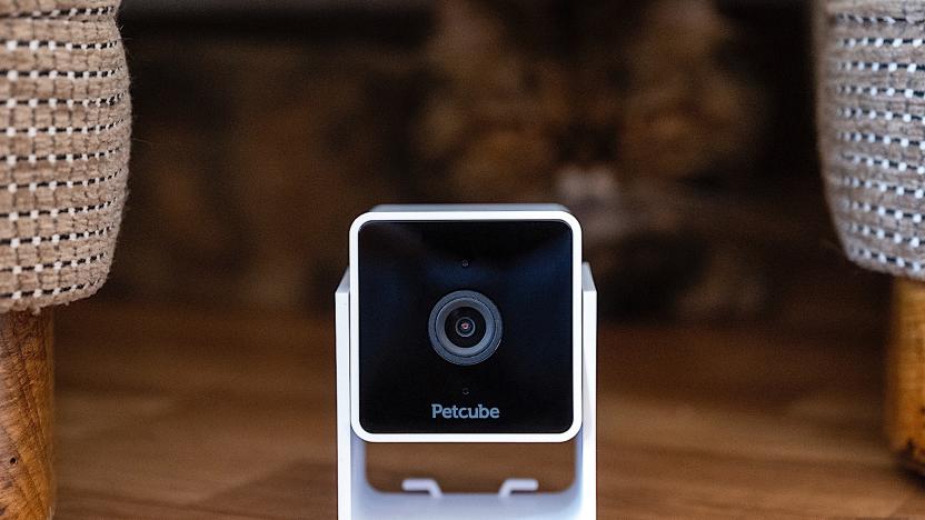 Petcube's Cam is a small, smart way to keep tabs on your pets.