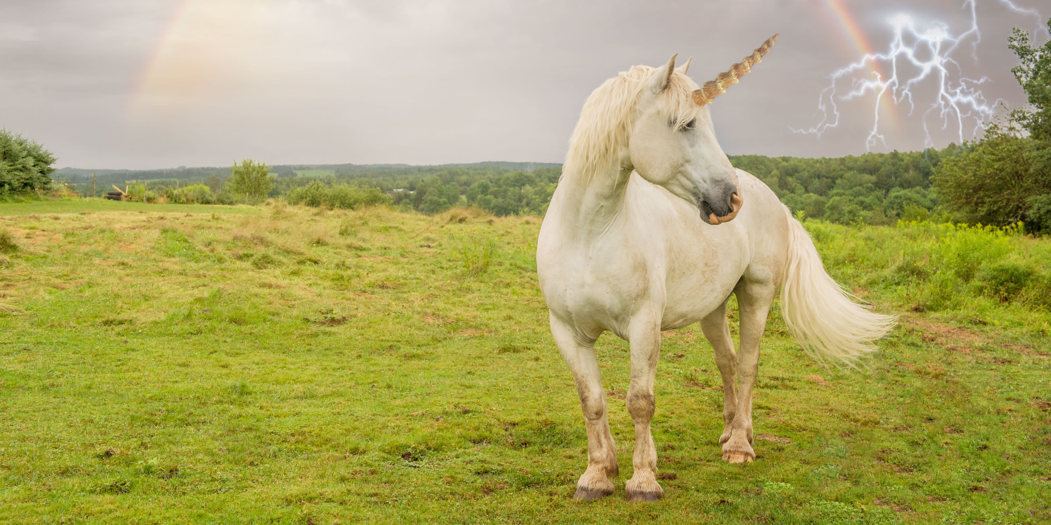 Yes, Unicorns Were Real — and Now We Have the Fossils to Prove It