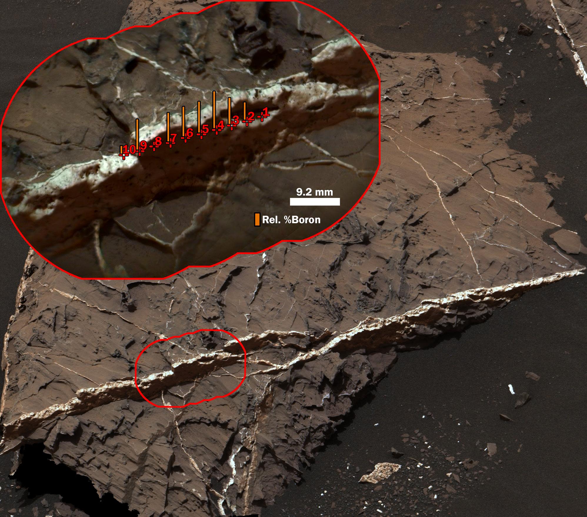 Long Window for Life on Mars: Hundreds of Millions of Years?