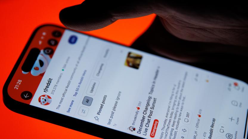 RedditANKARA, TURKIYE - JANUARY 22: In this photo illustration, interface of 'Reddit' is being displayed on a mobile phone screen in Ankara, Turkiye on January 22, 2024. (Photo by Ahmet Serdar Eser/Anadolu via Getty Images)