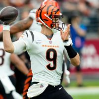 Cincinnati Bengals - News, Schedule, Scores, Roster, and Stats