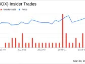 Box Inc (BOX) Director Dana Evan Sells 11,000 Shares