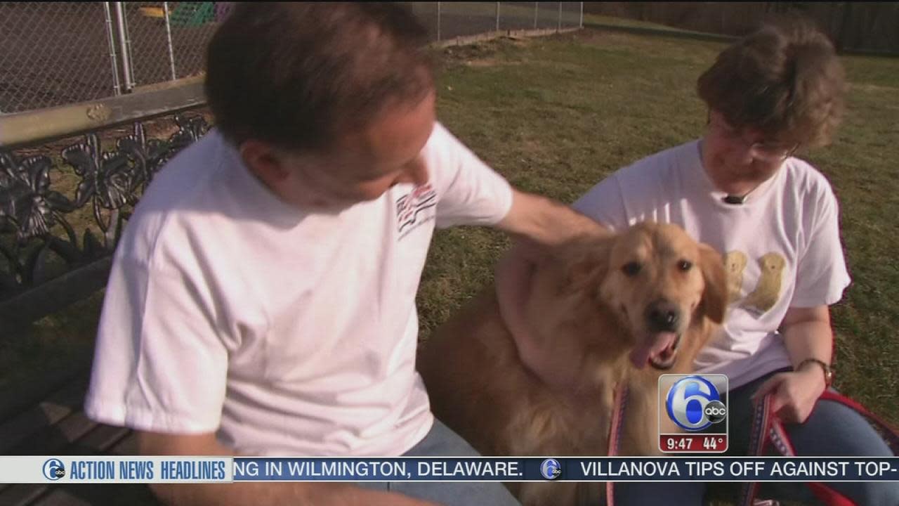 golden retriever rescue me