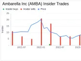 Insider Sell: CEO Feng-ming Wang Sells 2,173 Shares of Ambarella Inc (AMBA)