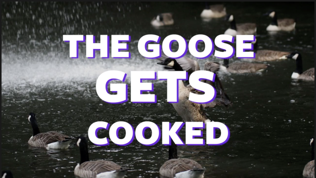 Is Jeff Passan a bad person for disliking Canada geese?