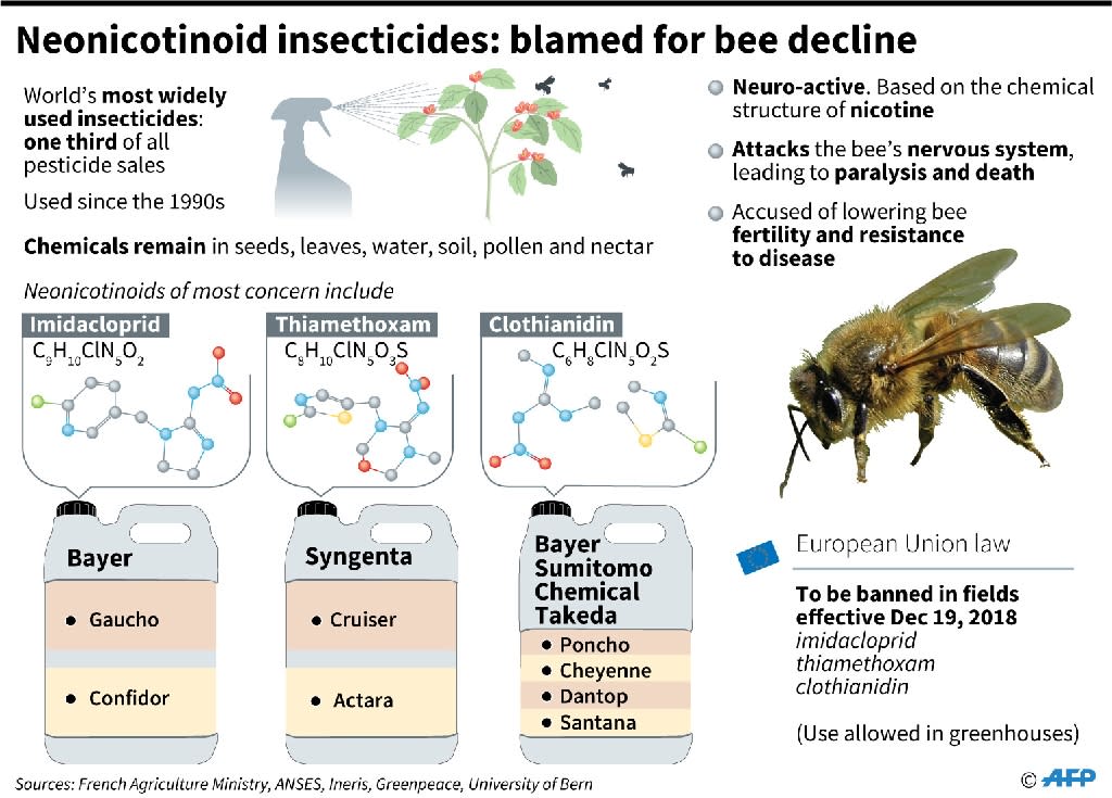 Bees get hooked on harmful pesticide study