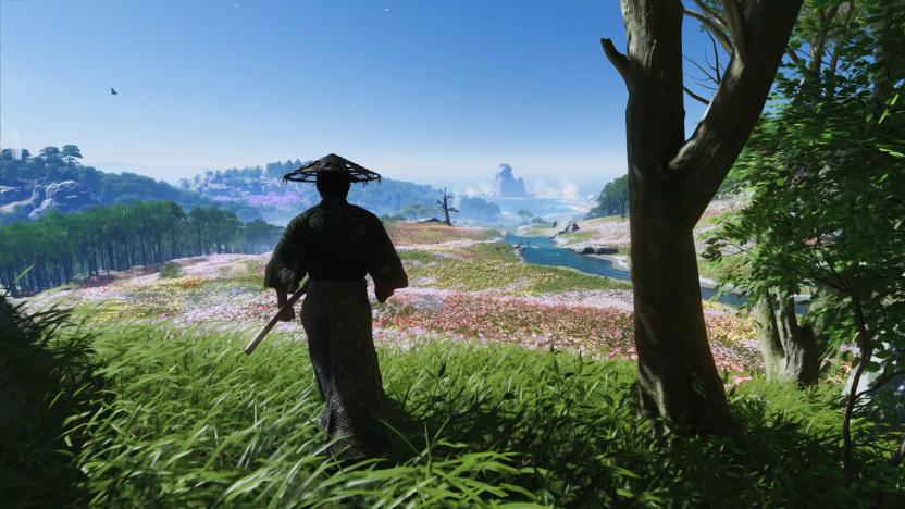 A still from the game Ghost of Tsushima showing a person from behind looking out at a vast landscape
