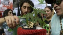 Marcha de la Marihuana en Argentina pide legalizar el cultivo