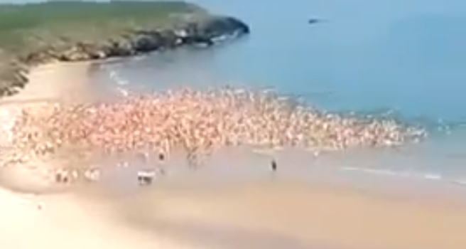 More Than 2 500 Women Skinny Dip In Irish Sea Breaking World Record