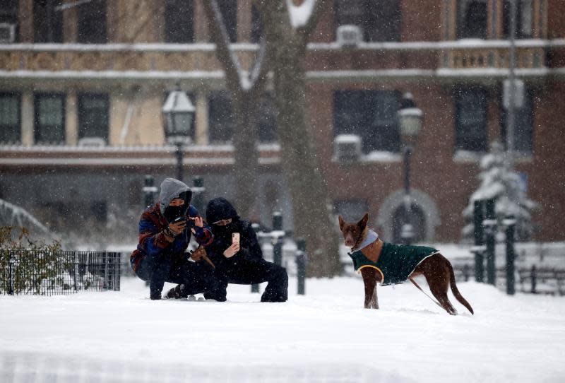 New York rises with its biggest snowfall in several years