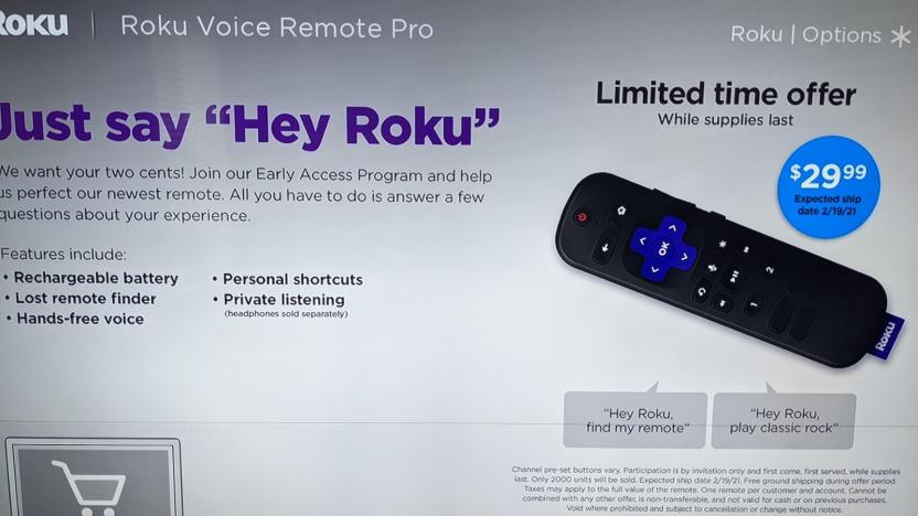 Roku Voice Remote Pro