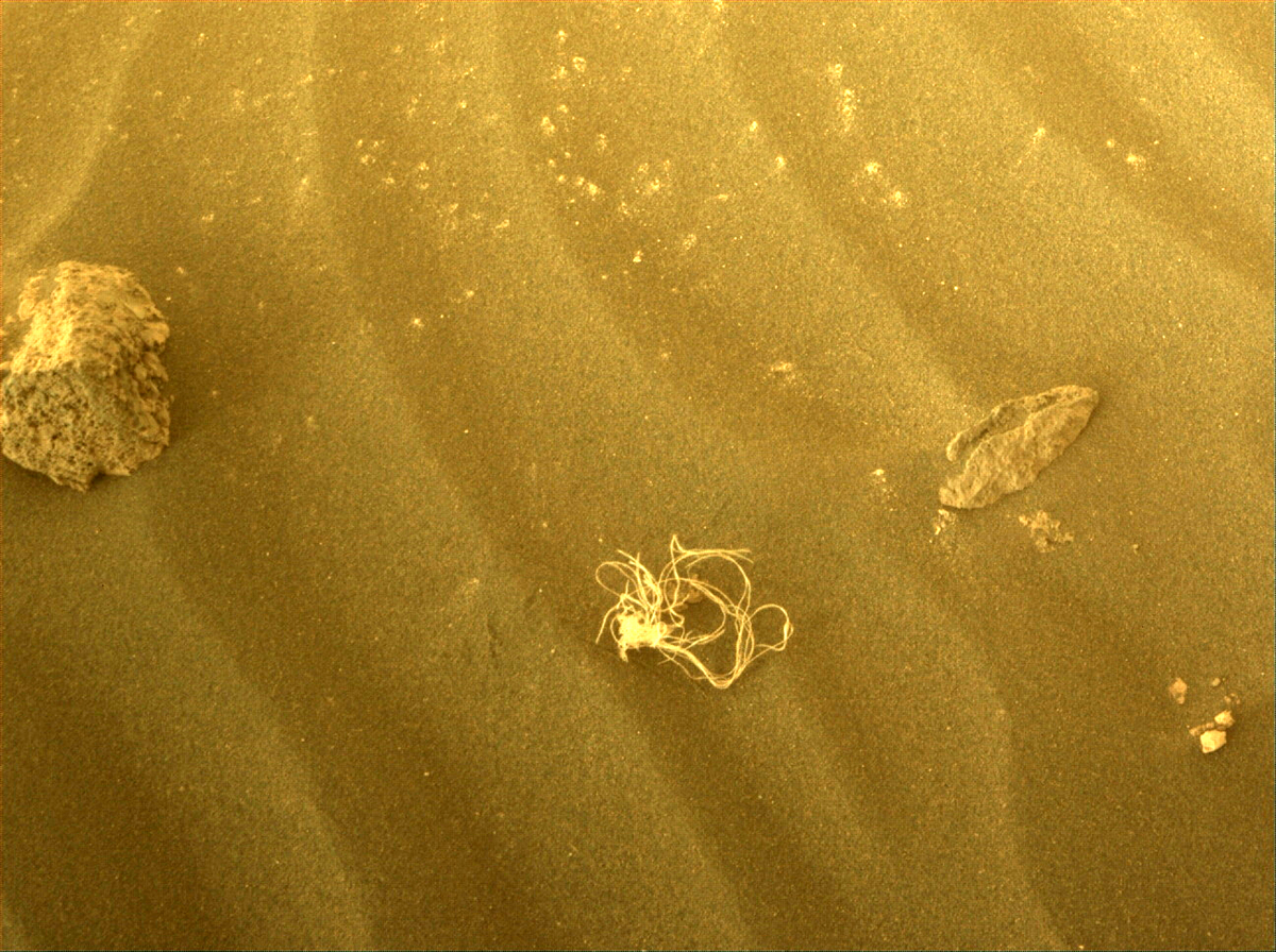 NASA identifies remains of strange ‘seaweed’ found on Mars by perseverance