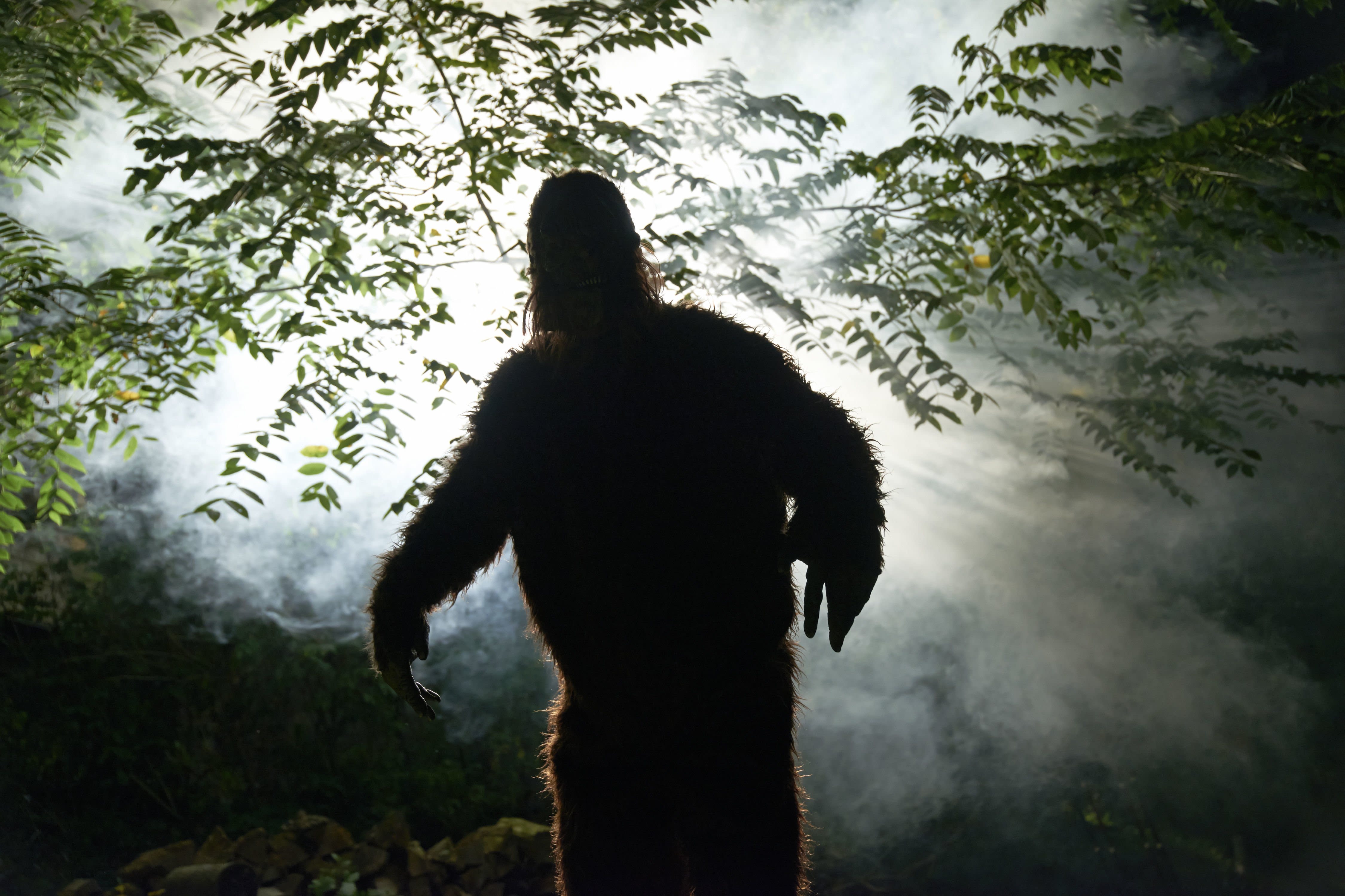 Gatlinburg To Host the FirstEver Smoky Mountain Bigfoot Conference