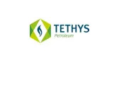 Tethys Petroleum Press Release: Annual Results and Corporate Update