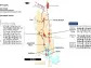 Orla Mining Drills Oxide Mineralization Outside Projected Open Pits at South Railroad Project in Nevada