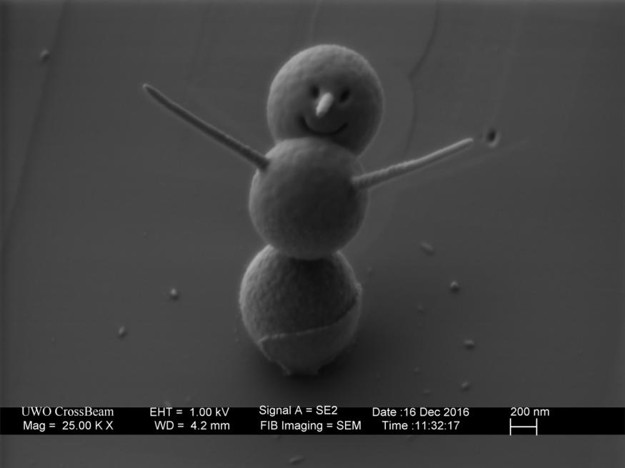 This is the world's smallest and happiest snowman