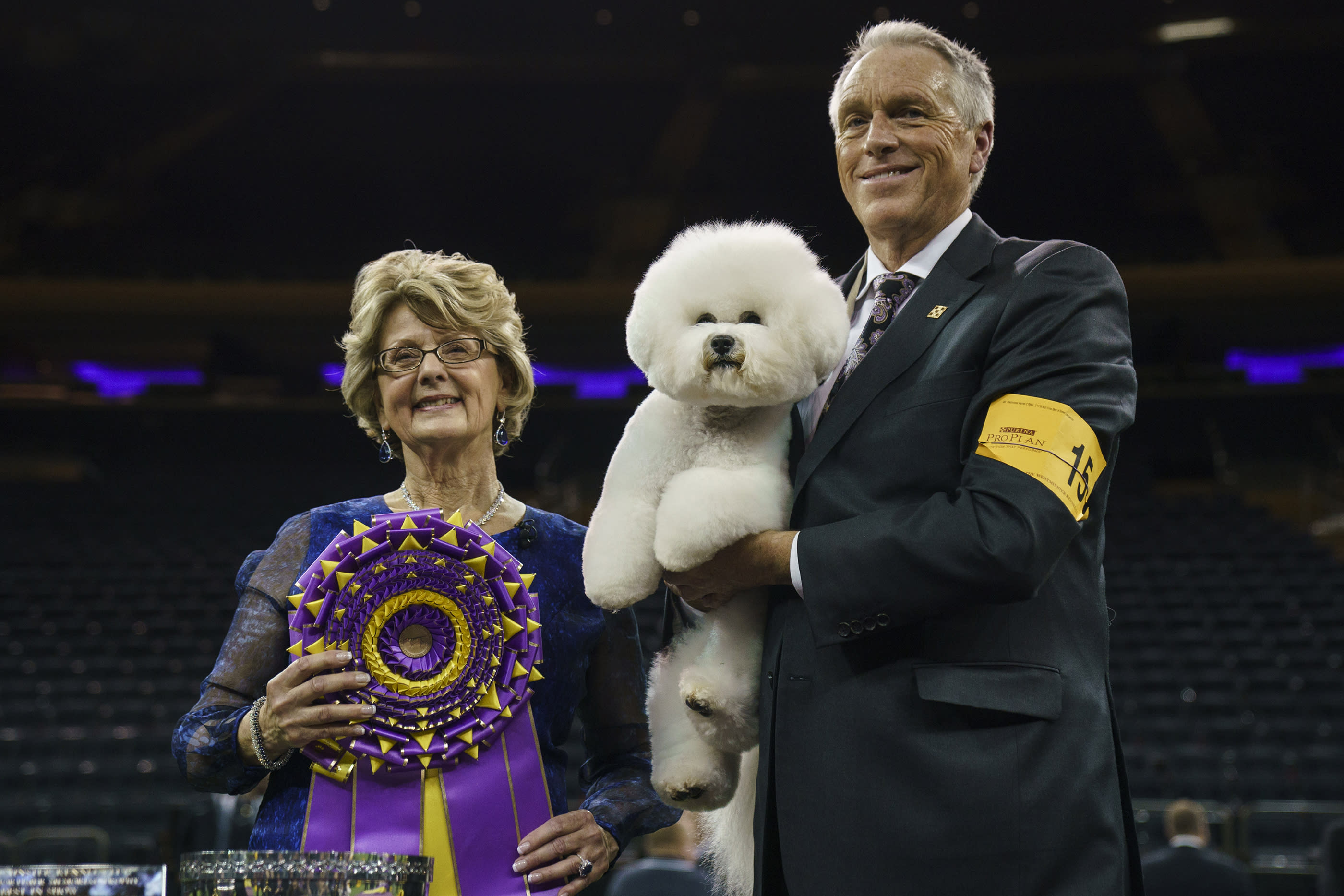 The Westminster Dog Show Winner Gets a Shocking Amount of Prize Money2800 x 1867