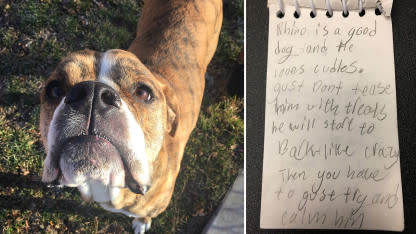 Young Girl Writes Heartbreaking Note to Her Dog&#39;s Future Family: &#39;He Loves Cuddles&#39;